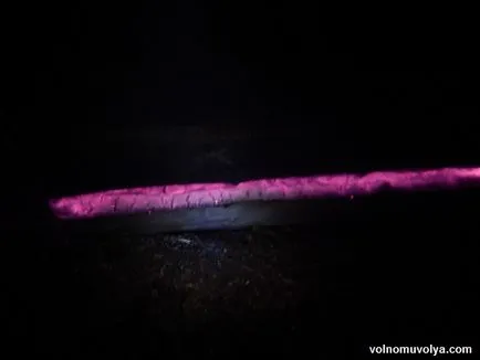 Nodya - taiga foc