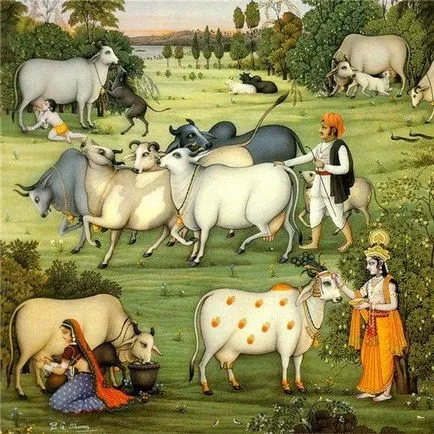 vaca Fancy - Fair Masters - manual, lucrate manual