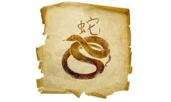 Maimuță și iepure compatibilitate în dragoste, horoscop căsătorie