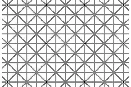 iluzie optică - iluzia de imagini cu explicatii - vezi
