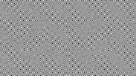 iluzie optică - iluzia de imagini cu explicatii - vezi