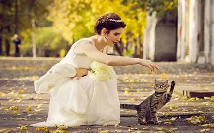 Ordinare pentru detalii extraordinare ale sedinta foto nunta, fotografie face