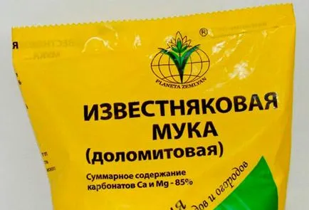 Decontaminarea terenului înainte de plantare puieți decât și modul de tratare a solului (puieți) Decontaminarea terenului înainte de plantare puieți decât și modul de tratare a solului