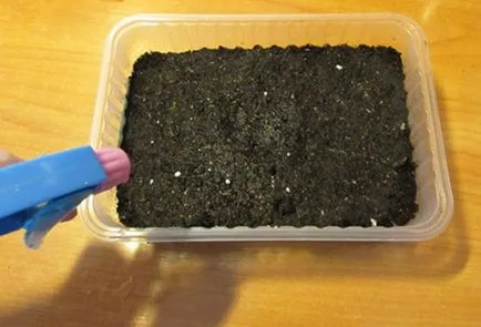 Decontaminarea terenului înainte de plantare puieți decât și modul de tratare a solului (în față) Decontaminarea terenului înainte de plantare puieți decât și modul de tratare a solului