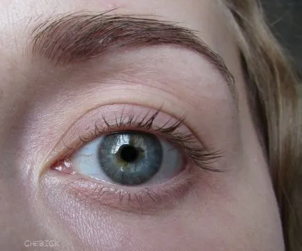 mascara Volume „2000 calorii» Max Factor 2000 comentarii calorii volum dramatic rimel