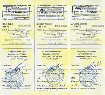 Am nevoie de permisiune pentru un pistol cu ​​aer fapte de drept