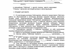 contract de probă de muncă cu directorul LLC în 2017 - general, mai mulți fondatori,