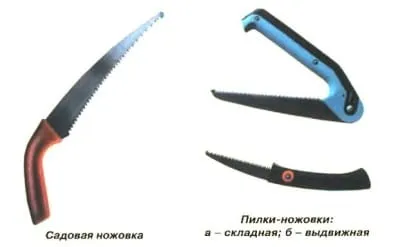 Garden Tunderea cum și când să prune copaci în grădină (de tăiere) Garden Tunderea cum și când să prune copaci în grădină