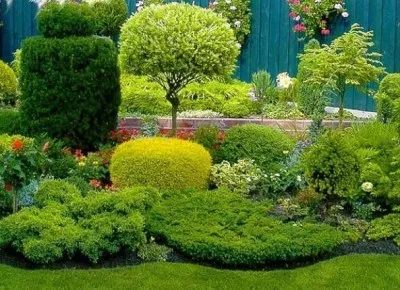 Tunderea Garden cum și când să tăiați copacii din grădină (arbori) Garden Tunderea cum și când să prune copaci în grădină