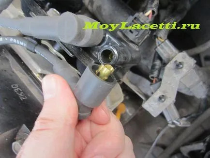 Tratamentul, protecția și lubrifierea contactelor, Lacetti mea (Liqui Moly Electronic-Spray) Tratamentul, protecția și lubrifierea contactelor, Lacetti mea