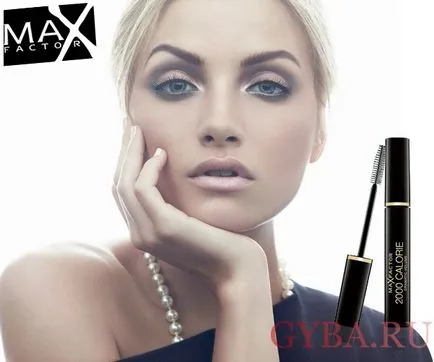 Prezentare generală rimel cili Max Factor 2000 comentarii calorii, pro și contra