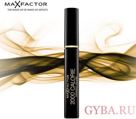 Prezentare generală rimel cili Max Factor 2000 comentarii calorii, pro și contra
