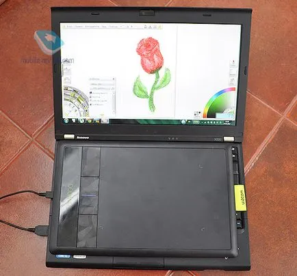 Privire de ansamblu tableta grafica wacom bambus pen & amp; tactil (bambus) Privire de ansamblu grafica WACOM comprimat bambus pen & amp; tactil
