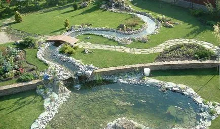 Realizarea unui artificiale plante de coastă iaz și fotografie pentru iaz în grădină și în țară (fotografii) Realizarea unui artificiale plante de coastă iaz și fotografie pentru iaz în grădină și în țară