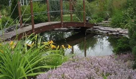 Realizarea unui artificiale plante de coastă iaz și fotografie pentru iaz în grădină și în țară (înregistrare) Realizarea unui artificiale plante de coastă iaz și fotografie pentru iaz în grădină și în țară