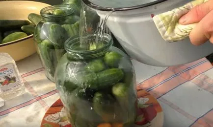 castraveti murati în timpul iernii