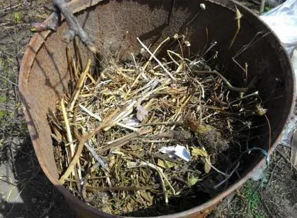 Castraveți în cultivarea butoaie, plantare, îngrijire, comentarii, foto, video