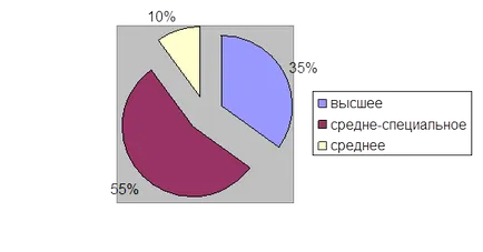 Descrierea implementării software - informatică, programare
