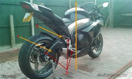 Organismele de motocicletă