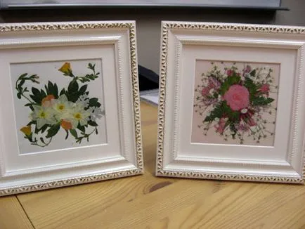 ambarcațiuni Presat de flori - floristica peisaj, casa mea - hobby-ul meu! (Ambarcațiunile floare presata) ambarcațiuni Presat de flori - floristica peisaj, casa mea - hobby-ul meu!