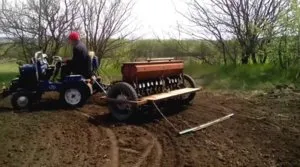 În special drepturile de însămânțare cultivare mei și de îngrijire (mei) reguli de insamantare si in special ingrijirea cultivare mei