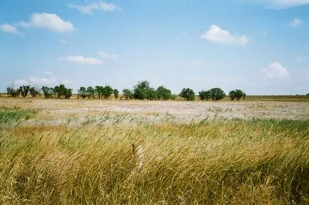 în vacanța de vară la Marea Azov 2017, unde cele mai bune (Yeisk) în vacanța de vară Marea Azov 2017 cel mai bun în cazul în care
