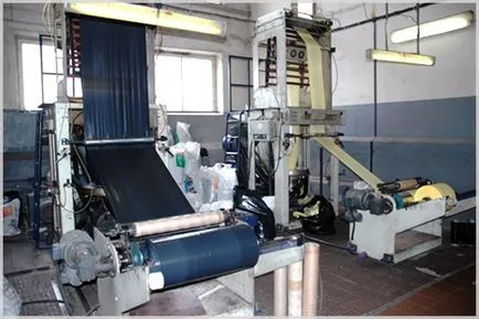 Caracteristici ale întreprinderilor industriale și organizațiilor linie de producție a alerga (de fabricație) Caracteristici ale organizării întreprinderilor industriale și start-up linie de producție