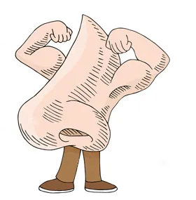 Umflarea membranei mucoase nazale gonflează cauze, tratament