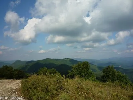 Feedback în vacanță în Lermontov în 2014, Marea Neagră (restul în Teritoriul Krasnodar) Feedback în vacanță în Lermontov în 2014, Marea Neagră