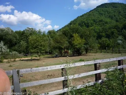 Feedback în vacanță în Lermontov în 2014, Marea Neagră (petrecere a timpului liber) Feedback în vacanță în Lermontov în 2014, Marea Neagră