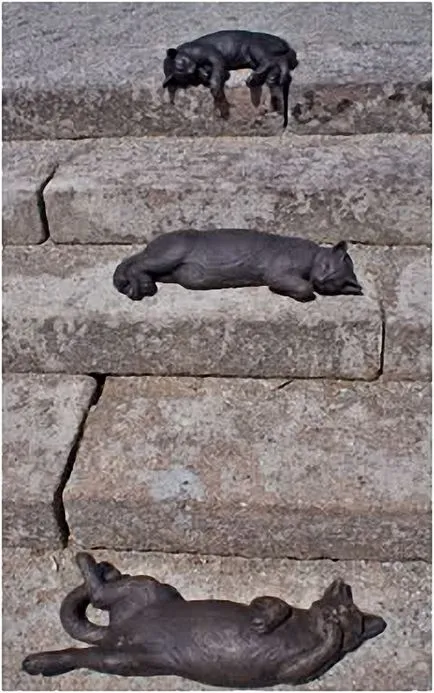 Monumente și sculpturi de pisici