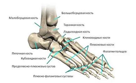 Fractura piciorului sunt principalele simptome, tratament, imagini și semne
