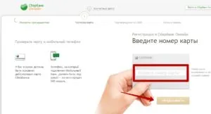 Cum de a transfera de la Banca de Economii pe WebMoney (WebMoney) Cum de a transfera de la Banca de Economii pe WebMoney