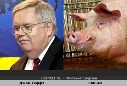 Cum de a opri pe ceva practica fixa simplu care vă va ajuta să scapi de