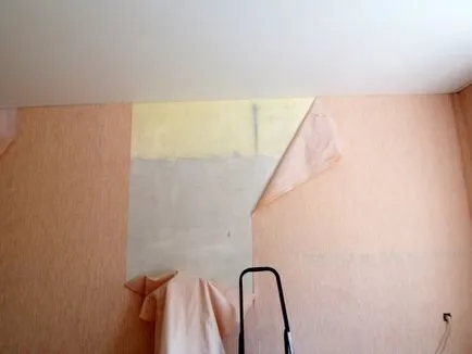 Cum de a re-stick tapet și alte non-țesute în mod corect, placaj de instrucțiuni piese, clipuri video și fotografii (non-țesute) Cum de a re-stick tapet și alte non-țesute în mod corect, placaj de instrucțiuni piese, clipuri video și fotografii