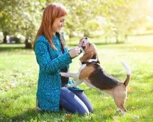 porecle românești și nume pentru câini masculi băieți (e) porecle și nume românești pentru câini masculi băieți