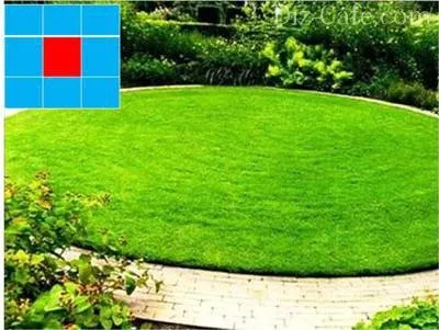 Gradina de Feng Shui modul de a efectua zonare a grădinii (dreapta) Gradina de Feng Shui modul de a efectua zonare a grădinii