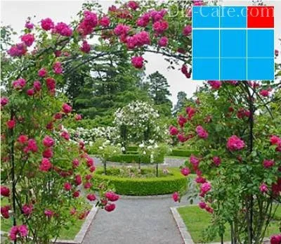 Gradina de Feng Shui modul de a efectua zonare a grădinii (grădina de Feng Shui) Gradina de Feng Shui modul de a efectua zonare a grădinii