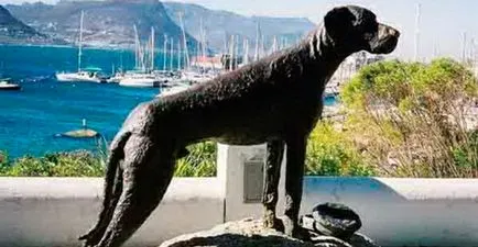 Cele mai cunoscute monumente dedicate câinilor, snupiki - site-ul despre câini