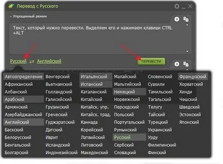 Cel mai bun Online Traducător - dicter