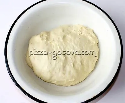 Pizza cu șuncă și brânză - o simplă fotografie-rețetă (șuncă) Pizza cu șuncă și brânză - o simplă fotografie-rețetă