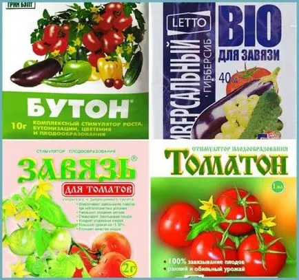 De ce nu legat tomate în seră, ce să facă, și de ce nu ovar - eteplitsa - viața mea