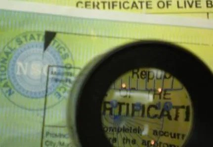 sigilii false și timbre articol responsabilitate