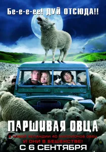 Caută ceea ce fac fata