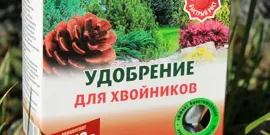 Fertilizarea cenușă cum să se pregătească lemn pentru infuzia de video color