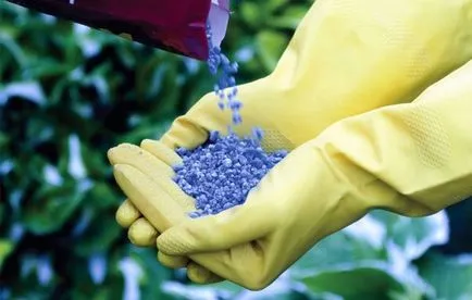 Fertilizarea decât pere și când să se hrănească copac pere