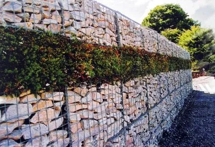 Păstrarea de perete în țară cu propriile lor mâini în beton, piatră și alte materiale (cabana) Păstrarea de perete în țară cu propriile lor mâini în beton, piatră și alte materiale
