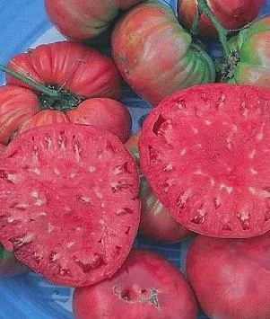 Tomate roz gigant