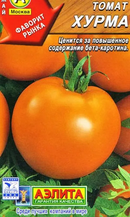 tomate curmale