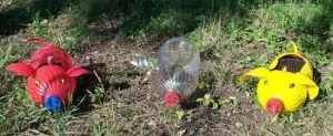 Purceii din sticle de plastic
